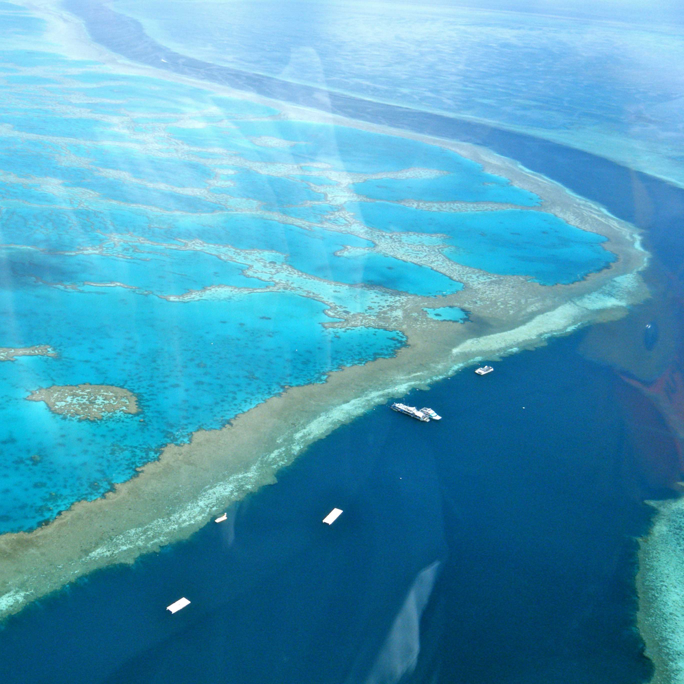 aus&nzreef